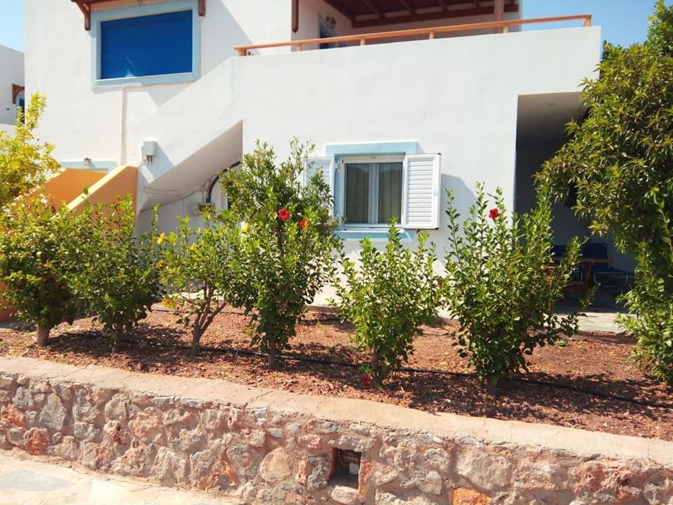 Alkioni Sea View Apartment Káto Zákros المظهر الخارجي الصورة