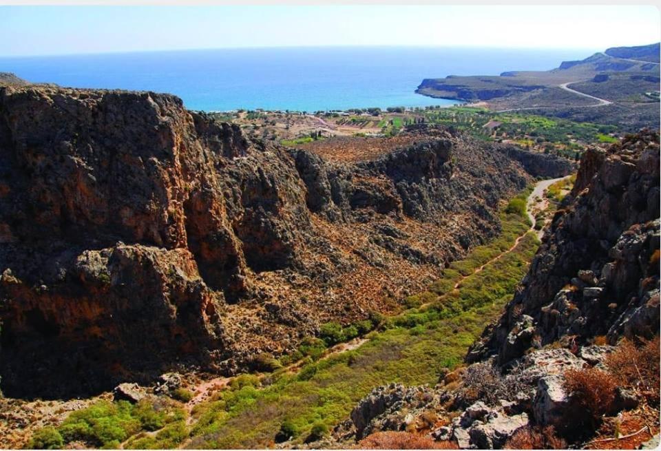 Alkioni Sea View Apartment Káto Zákros المظهر الخارجي الصورة