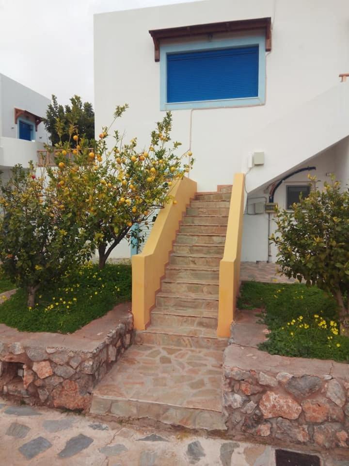 Alkioni Sea View Apartment Káto Zákros المظهر الخارجي الصورة